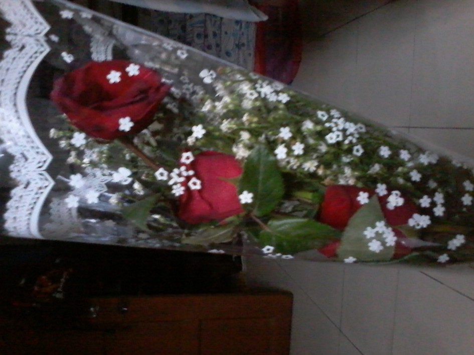 Thank you for the Flowers  Elle