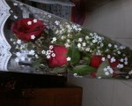 Thank you for the Flowers  Elle