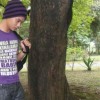 User