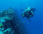 my biggest passion - diving