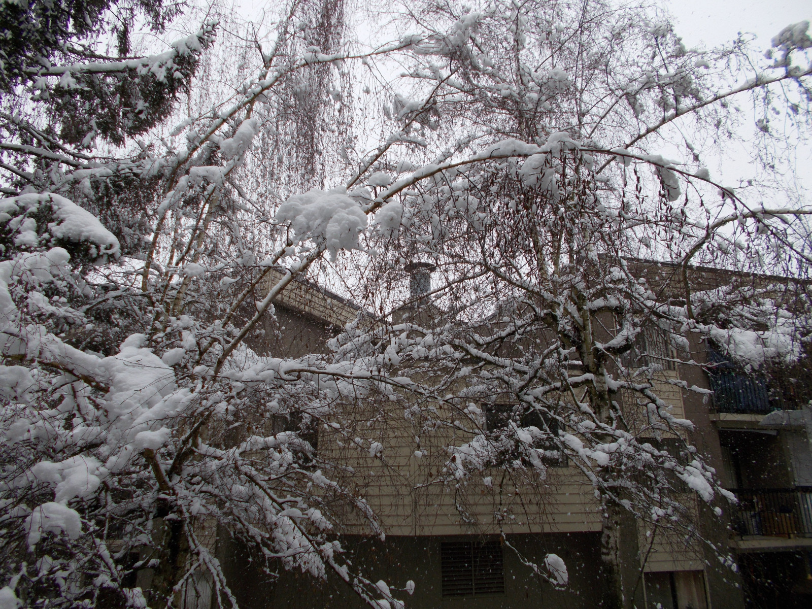 Outside of my apartment last winter