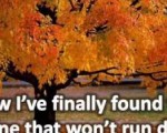 Has the wine run dry so soon