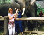 Chiang mai elephant show
