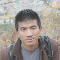 User