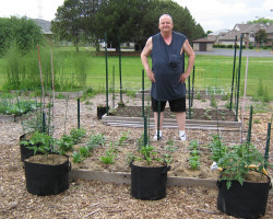 garden